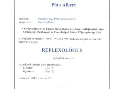 Póta Albert természetgyógyász