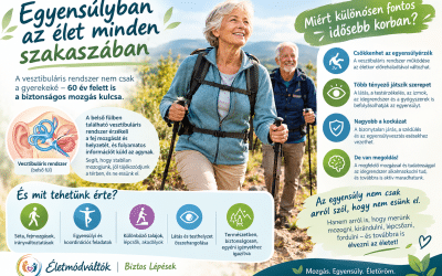 A vesztibuláris rendszer – az egyensúlyunk egyik láthatatlan irányítója